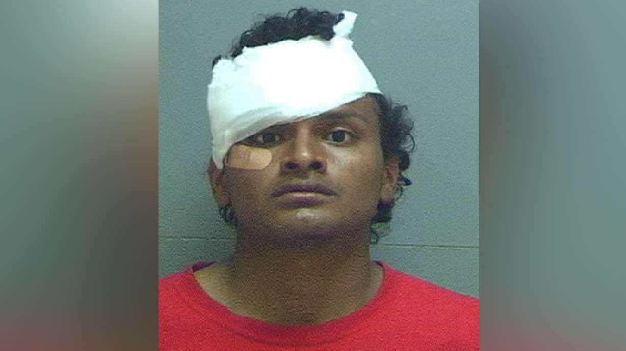 Family injured by suspected drunken driver in Draper
