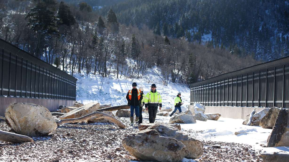 Why engineered wildlife crossings could save your life