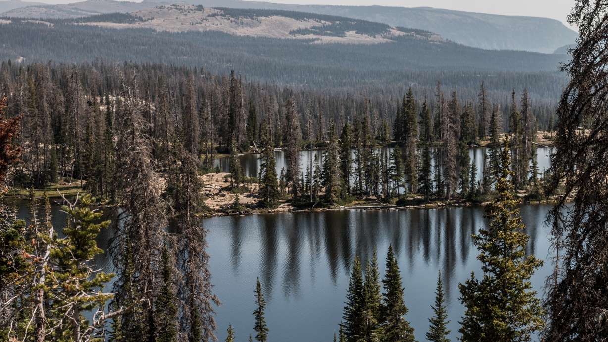 Want a healthy method of social distancing? Get out into the great outdoors