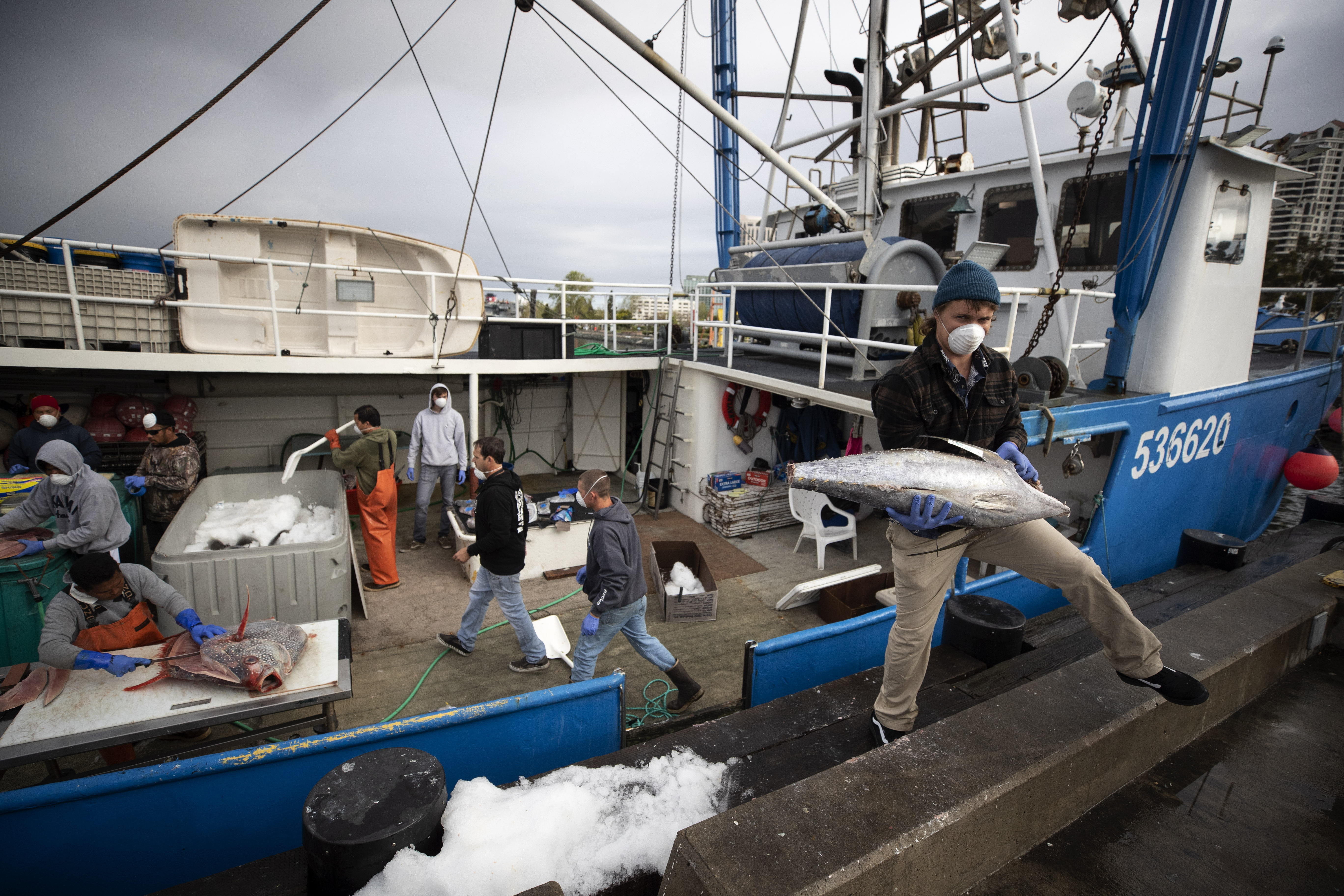 At sea during pandemic, fishermen return to stormy times