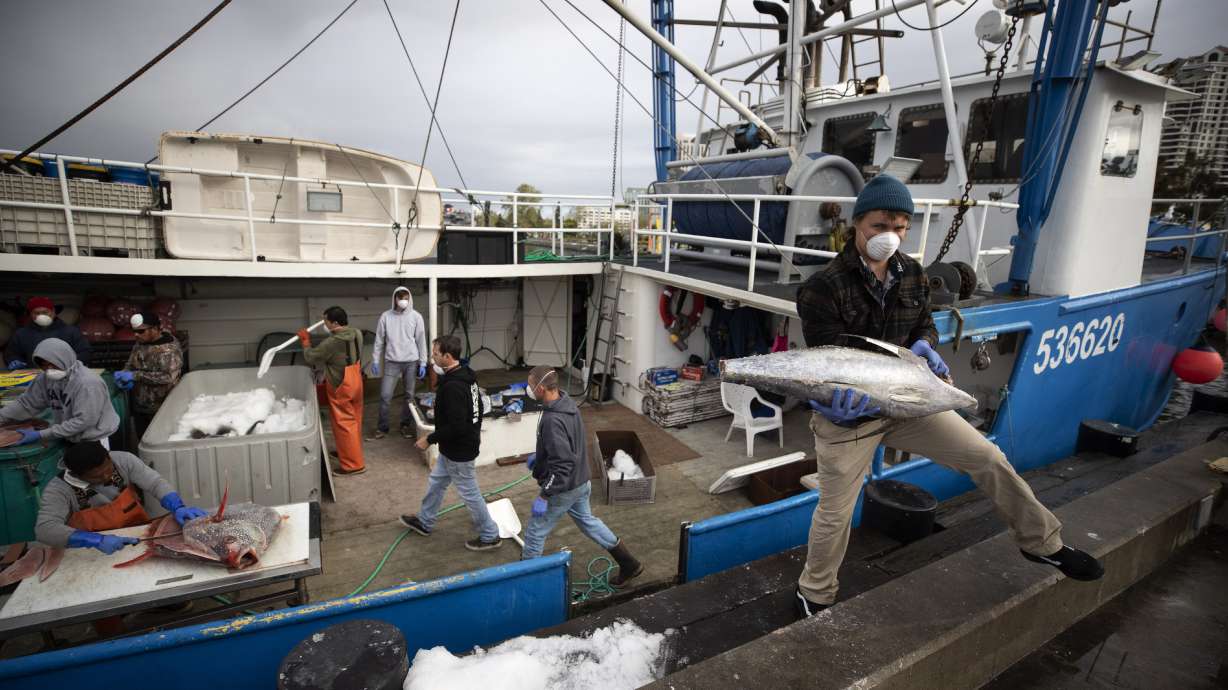 At sea during pandemic, fishermen return to stormy times