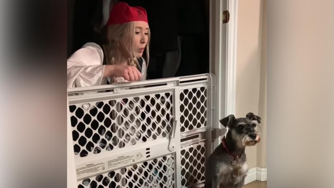 Have You Seen This? Utah family recreates Pirates of the Caribbean ride in self-quarantine