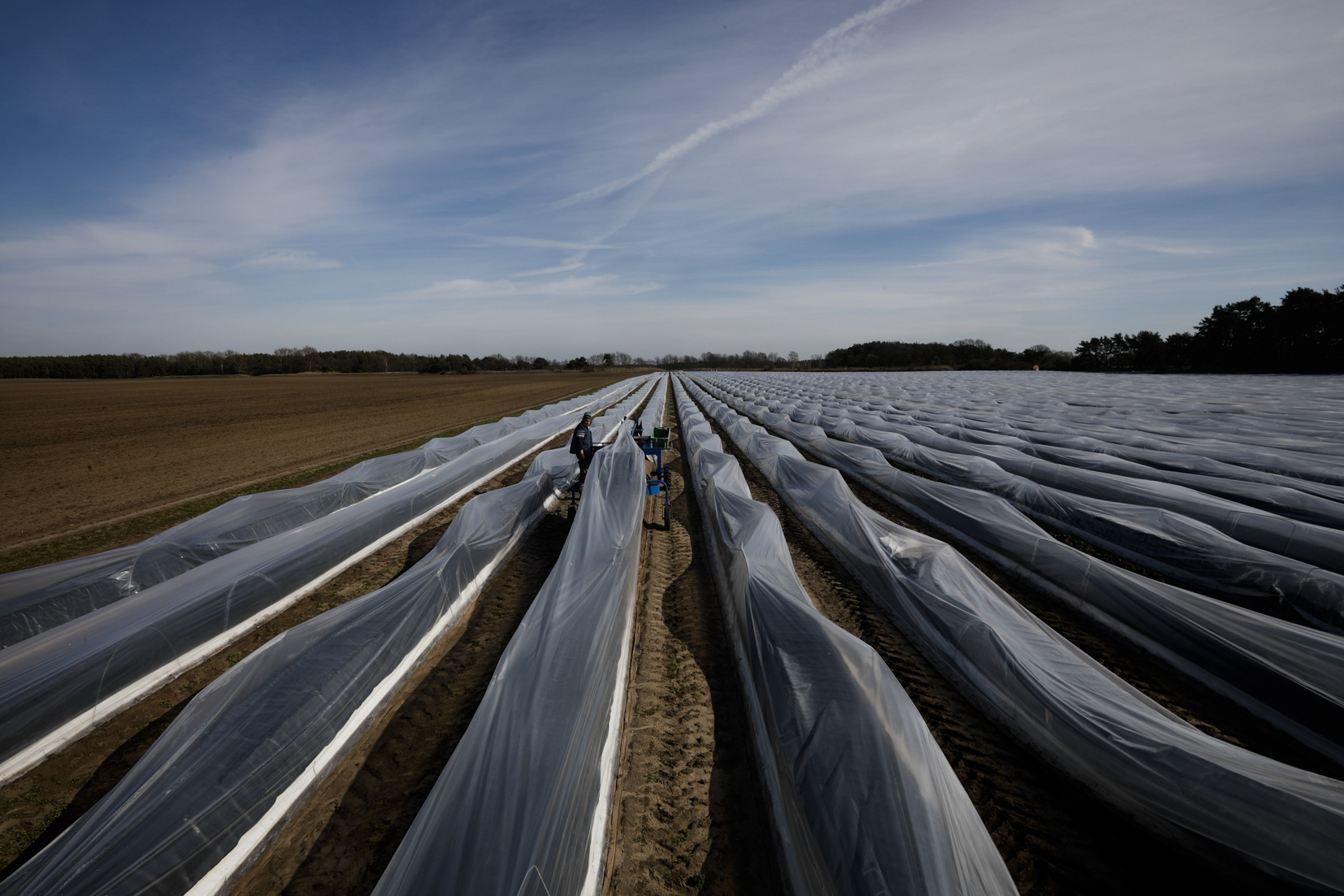 Virus chaos snarls farm workers as new season buds in Europe