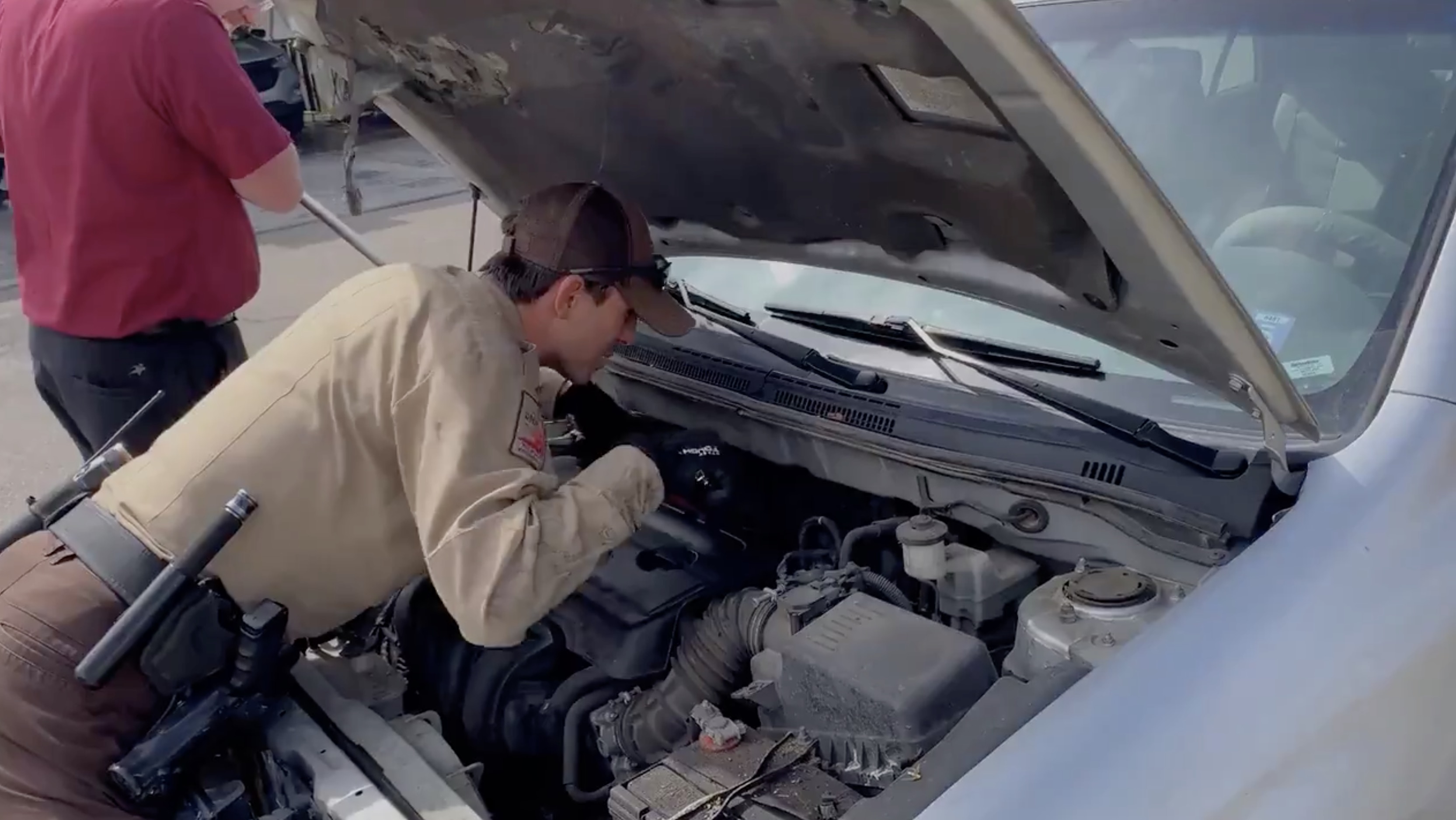 Marmot rescued from engine compartment of car, released back into Utah wild 