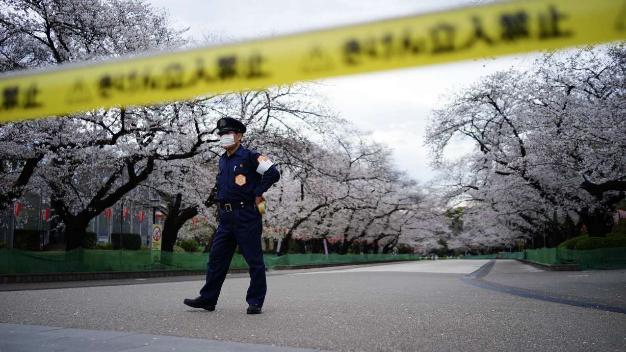 Tokyo closes cherry blossom parks to slow spread of virus