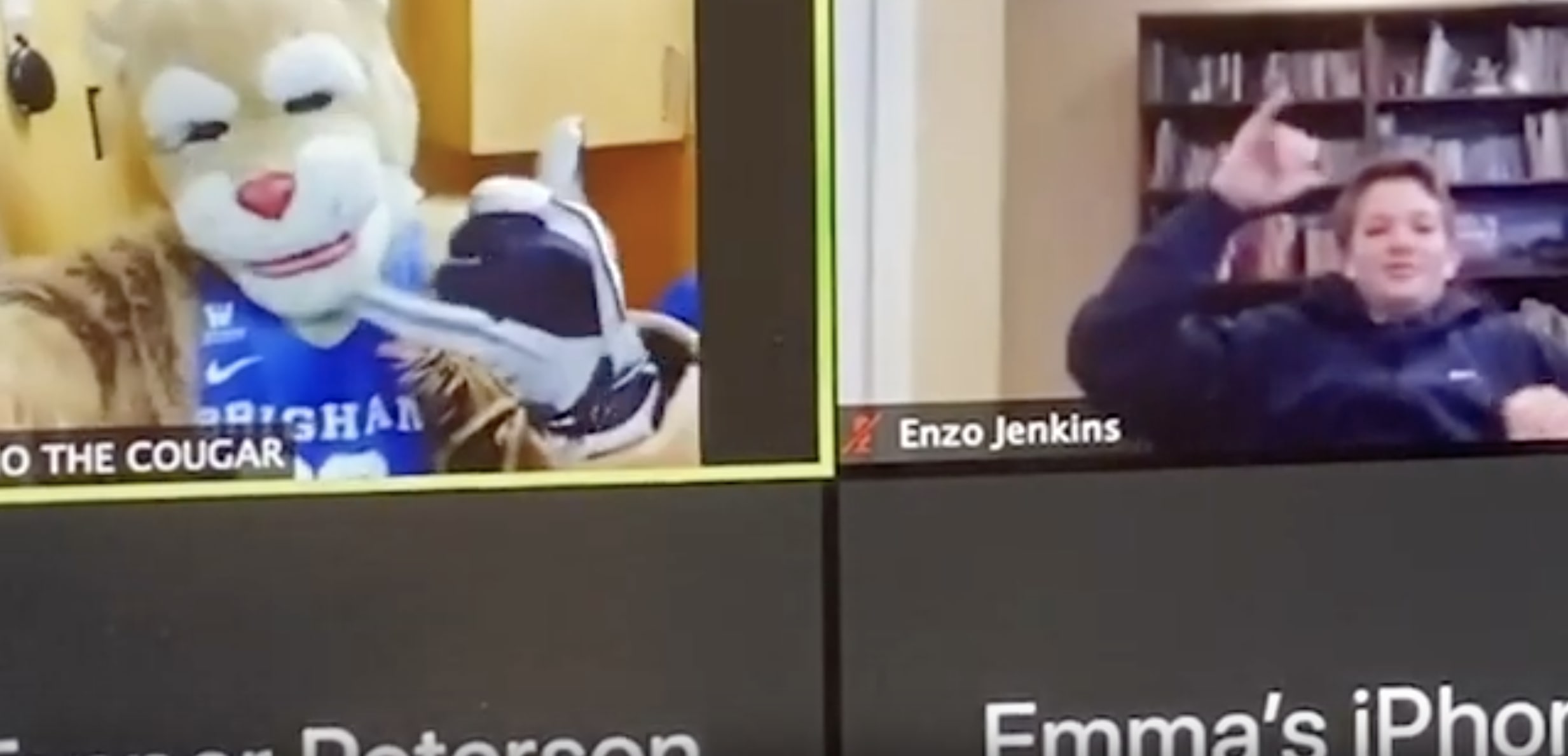 Have You Seen This? Cosmo the Cougar makes home school a bit more exciting