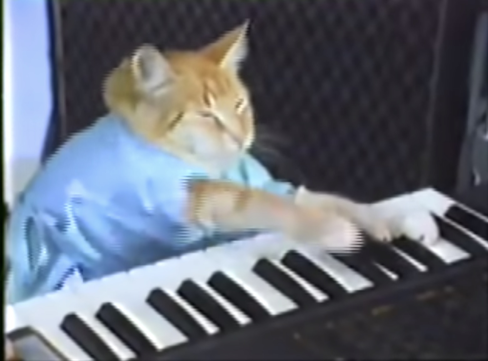 15 videos to make you laugh, sing, or dance your quarantine blues away