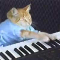 15 videos to make you laugh, sing, or dance your quarantine blues away