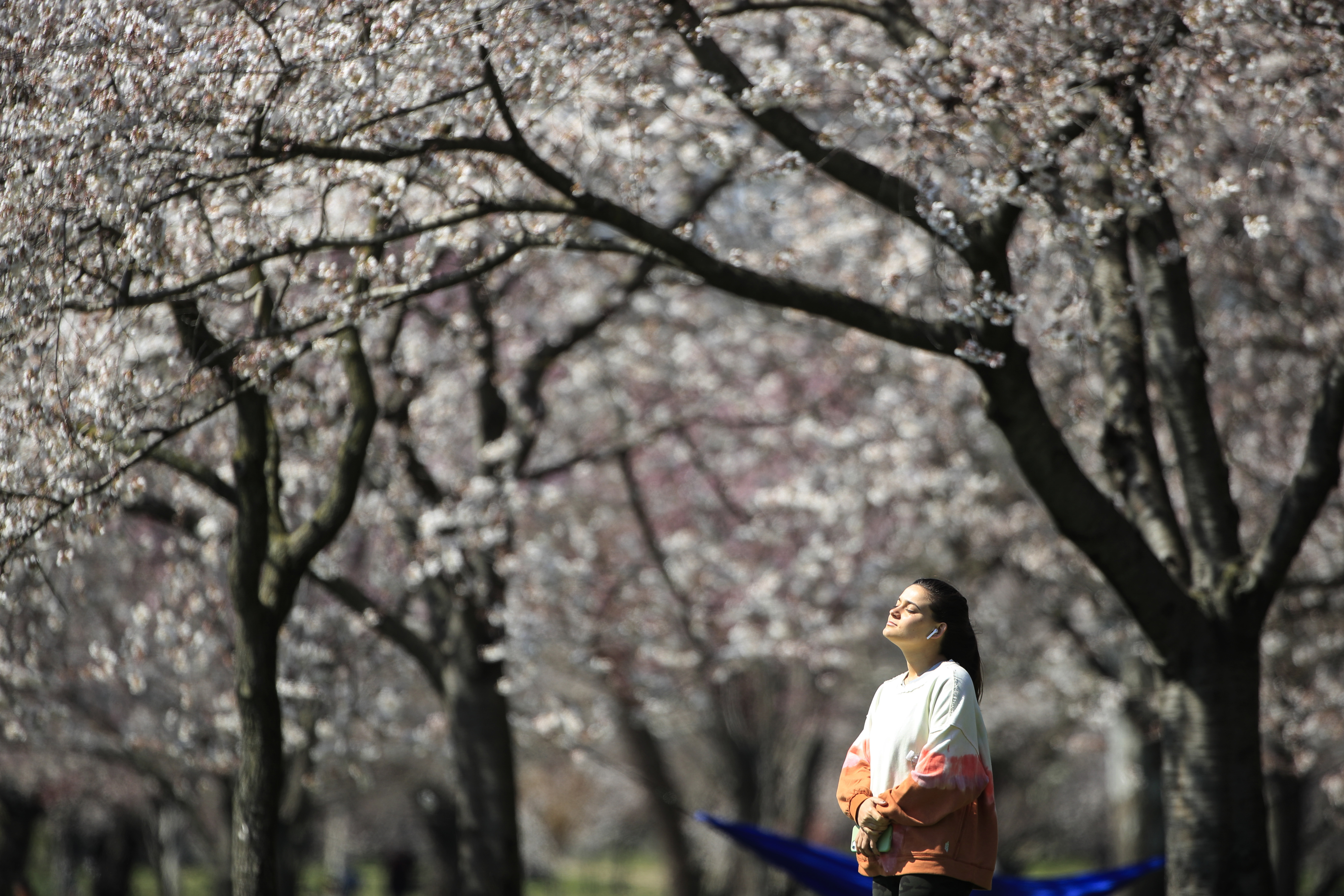 Hay fever or virus? For allergy sufferers, a season of worry