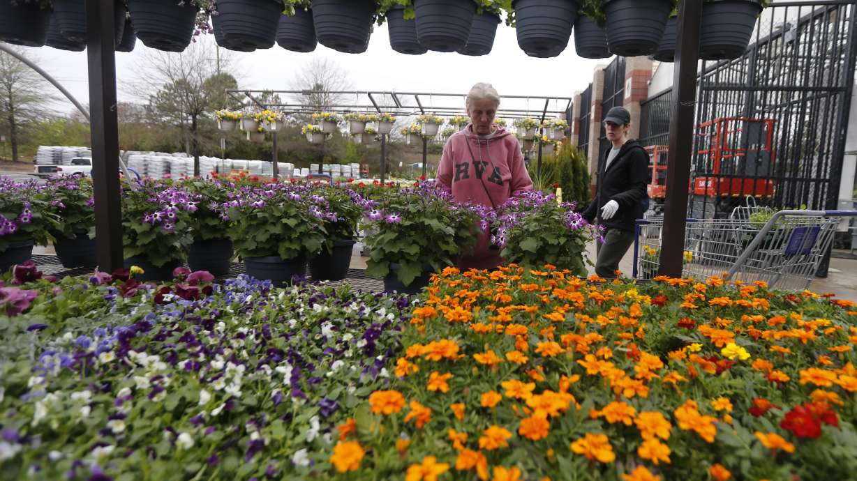 Feed the soul: In chaotic times, gardening becomes therapy