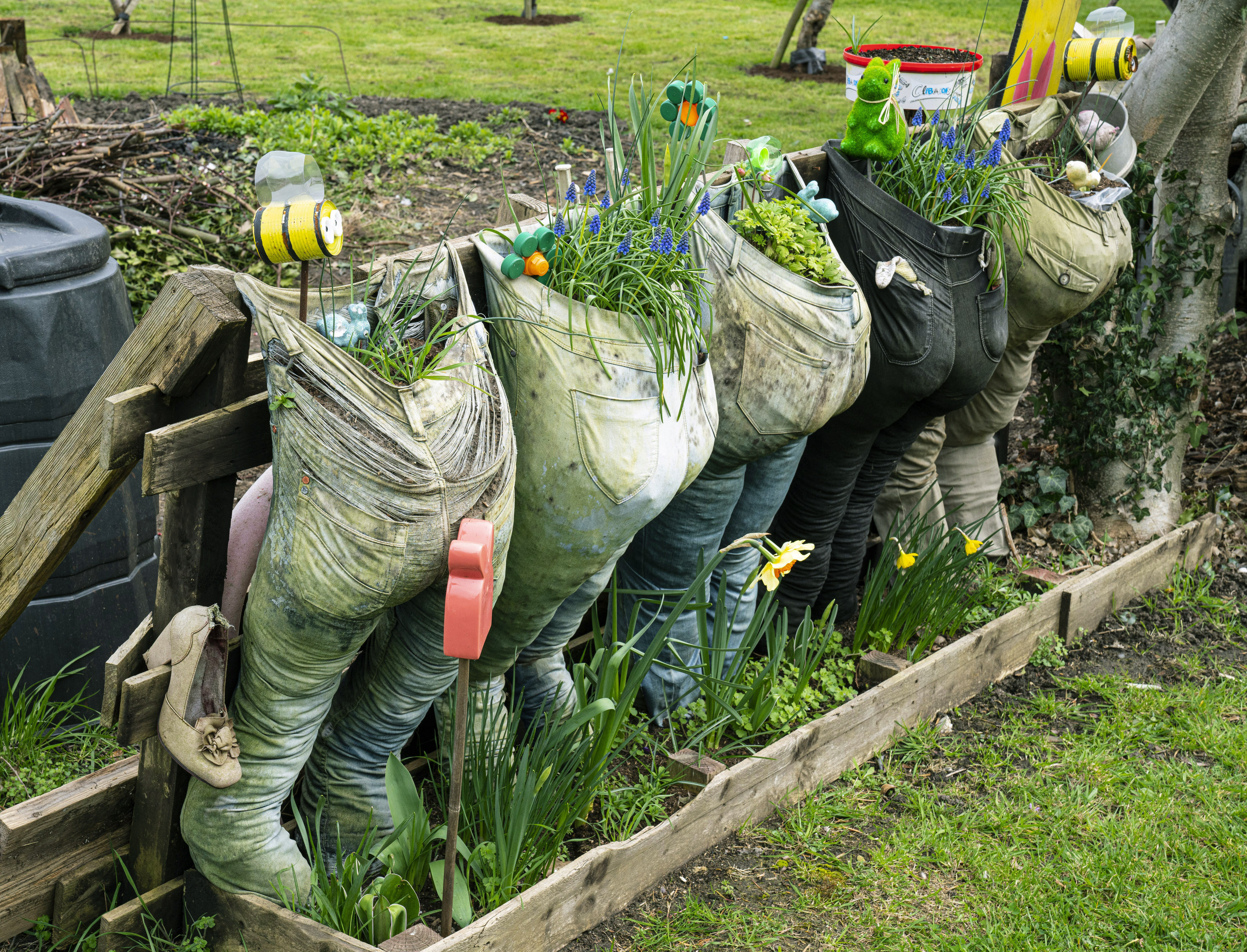 Old trousers recycled as growbags for herbs in an allotment as people are flocking to find advice on growing their own fruit and vegetables in the light of the coronavirus crisis, horticultural experts have said, in Bromley, Kent, England, Monday March 23, 2020. (Giles Anderson/PA via AP)
