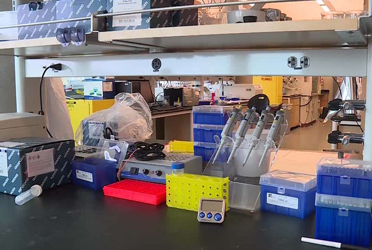 Dr. Jessica R. Kramer has been studying mucus in her lab at the university for years. (Photo: KSL TV)