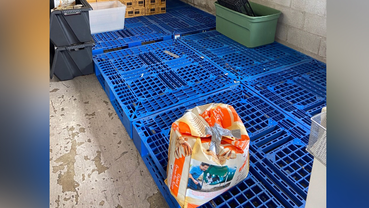 Animal shelters ask Utahns to help provide pet supplies in economic downturn