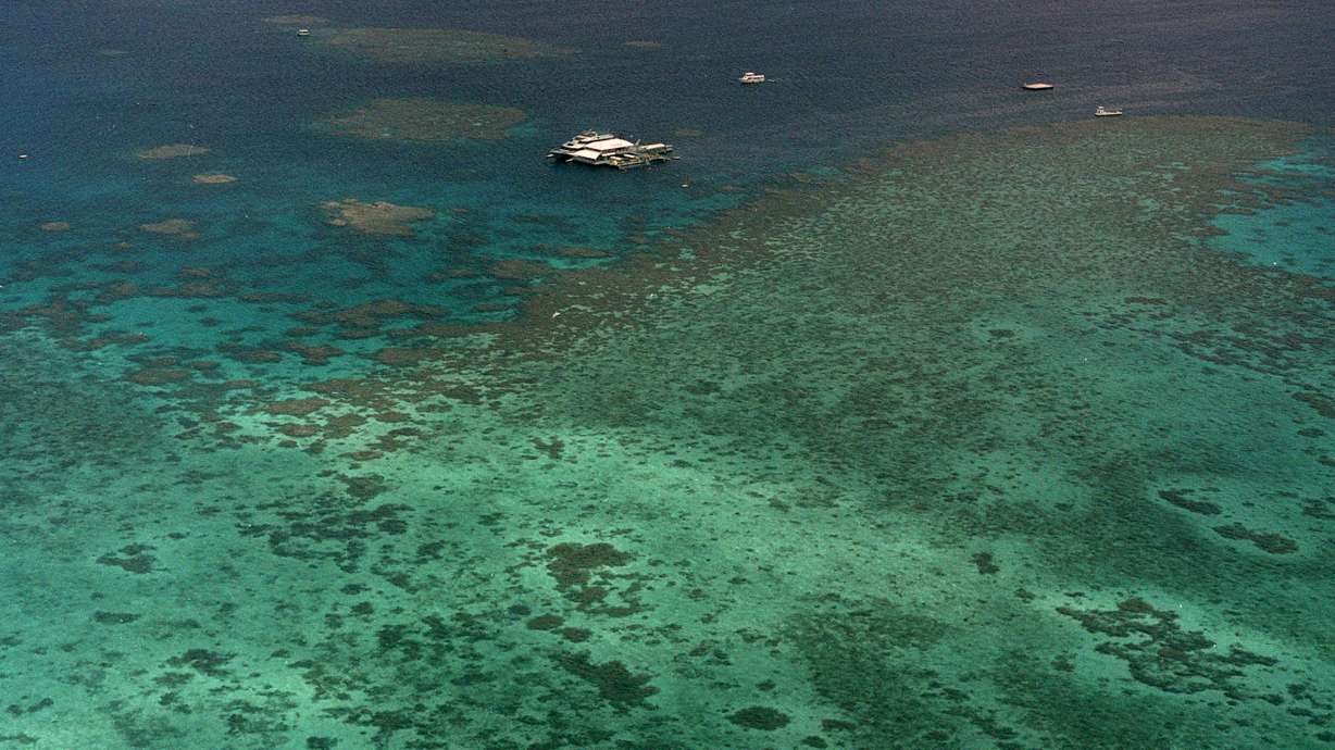 Bleaching on Great Barrier Reef more widespread than ever