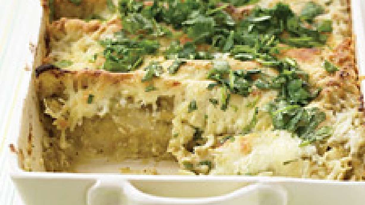 Chicken Enchiladas with Pumpkin Sauce