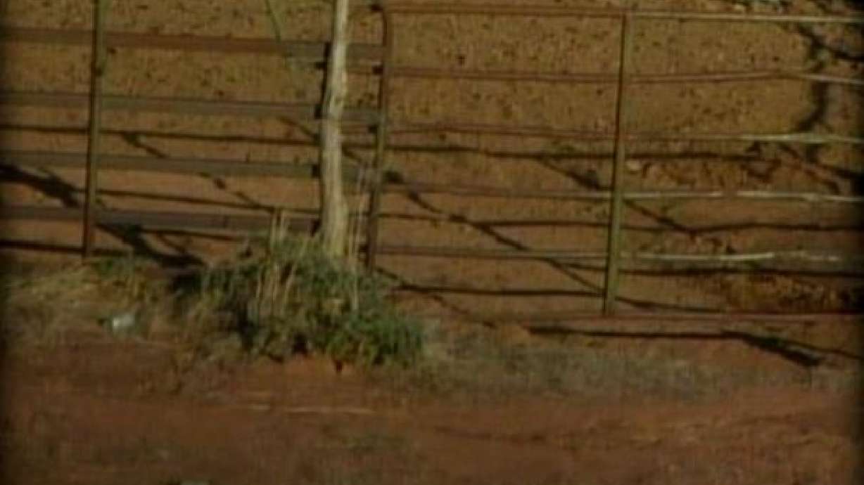 Reward Reaches $7,000 in Probe of Dead Horse