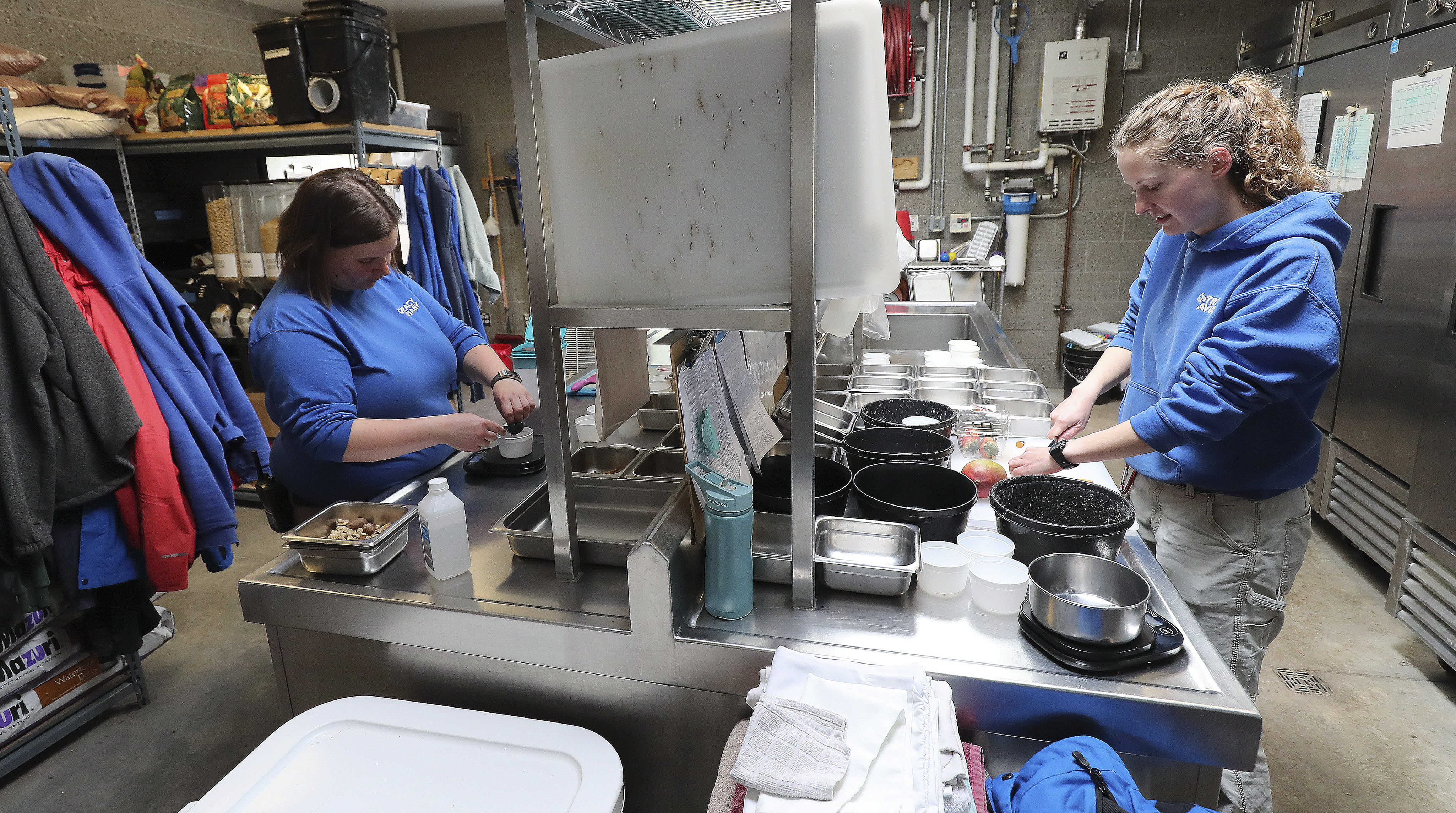 While COVID-19 bars the gates, Tracy Aviary works to keep things aflutter