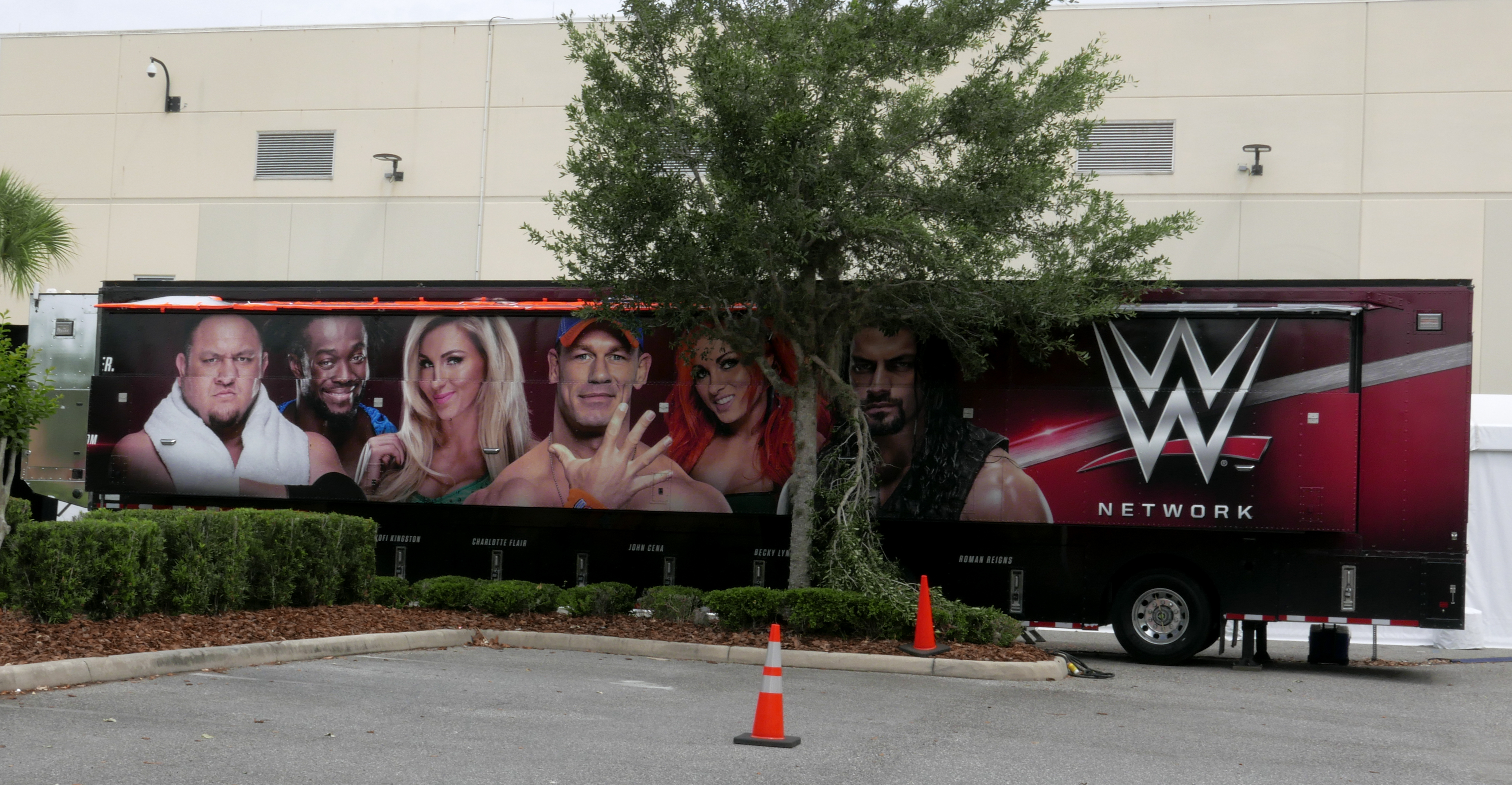 WWE cuts wrestlers after Florida deems it 'essential'
