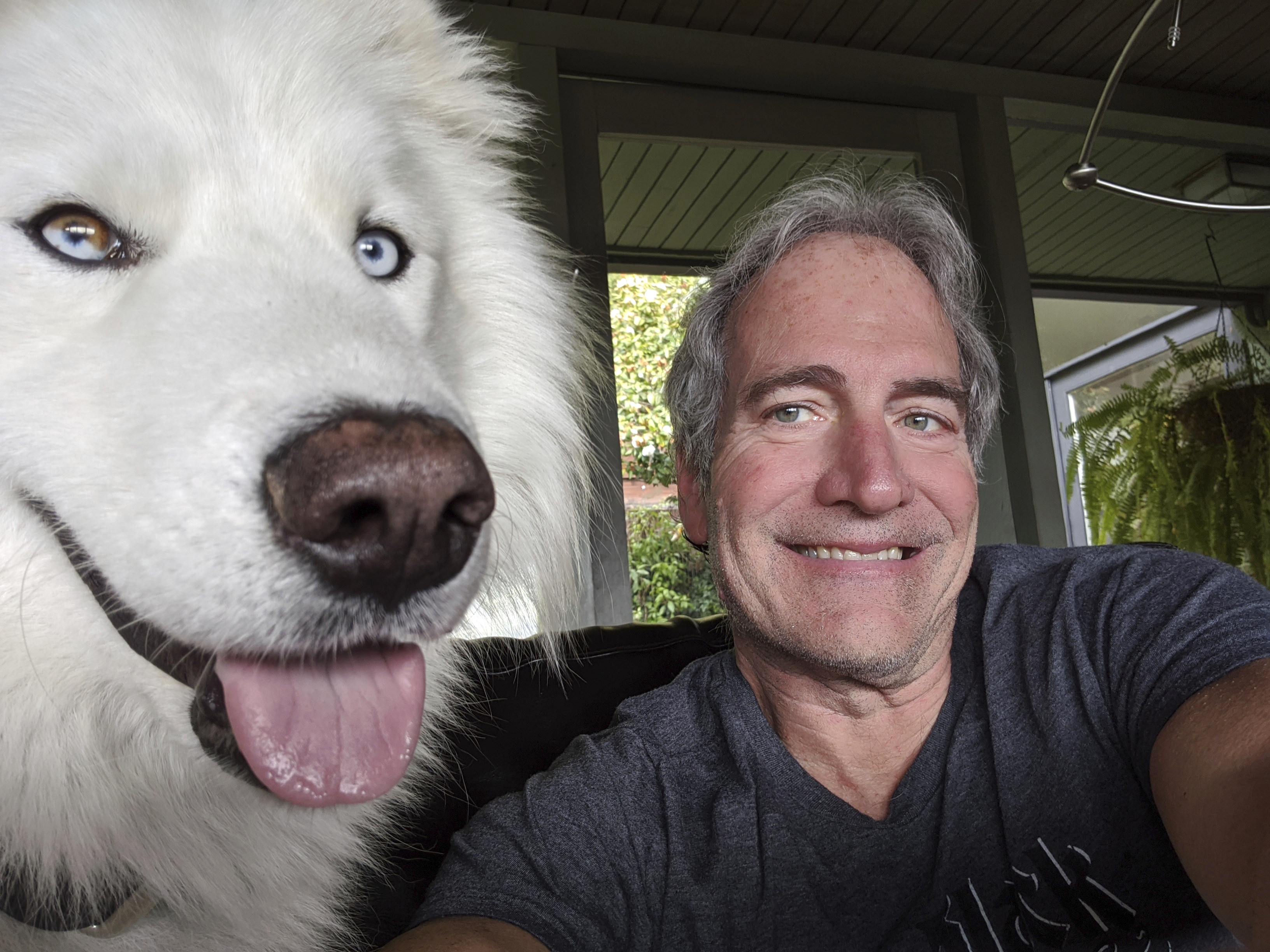 VIRUS DIARY: In pandemic, a forlorn dog finds new purpose