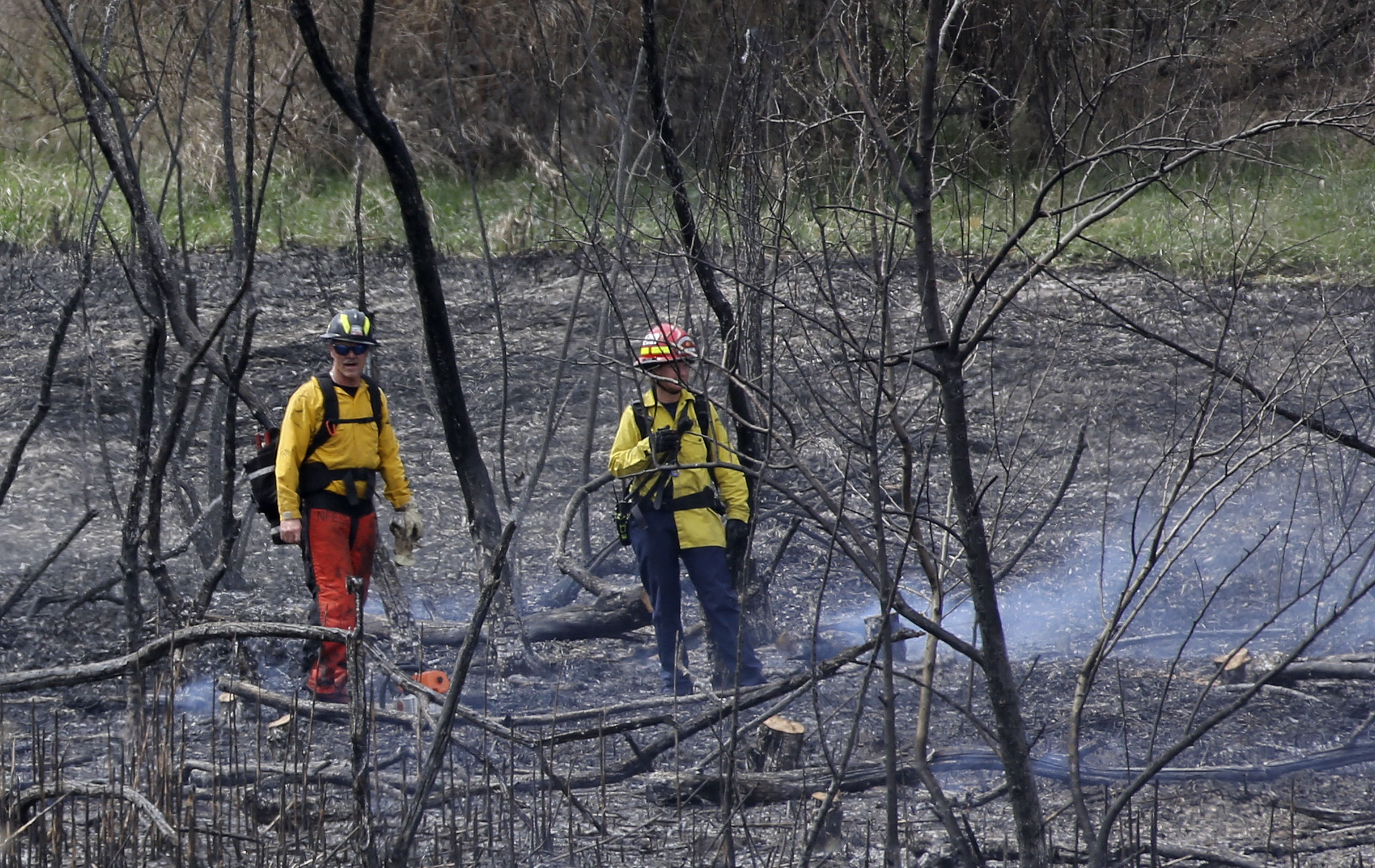 Coronavirus affecting way firefighters train for wildfire season