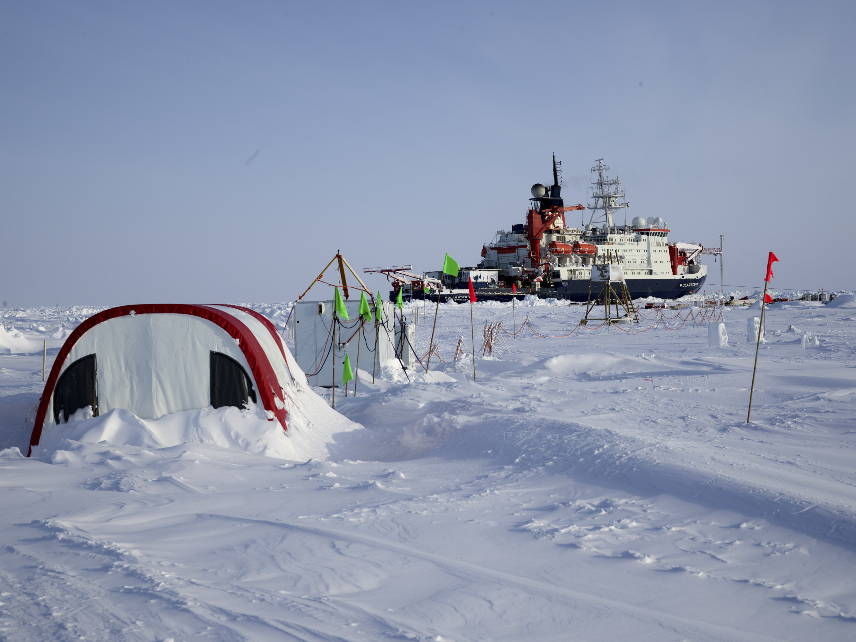 Pandemic forces Arctic expedition to take 3-week break