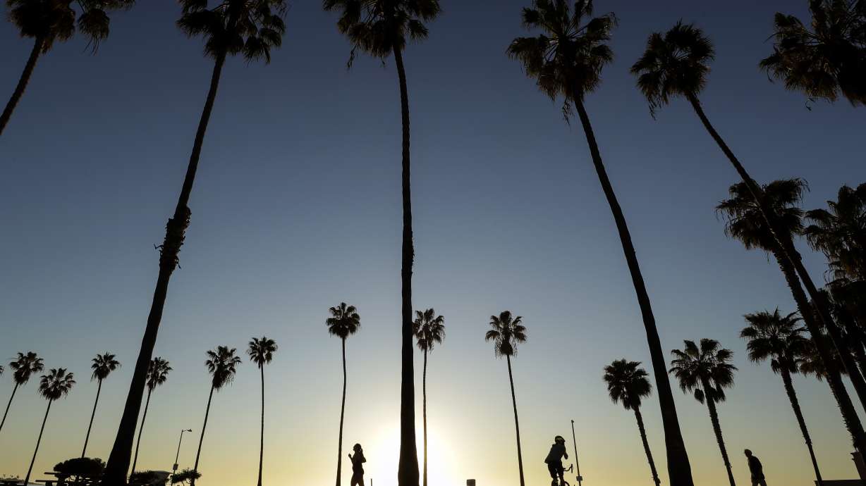 Gloomy summer looms as pandemic cancels US festivals, trips