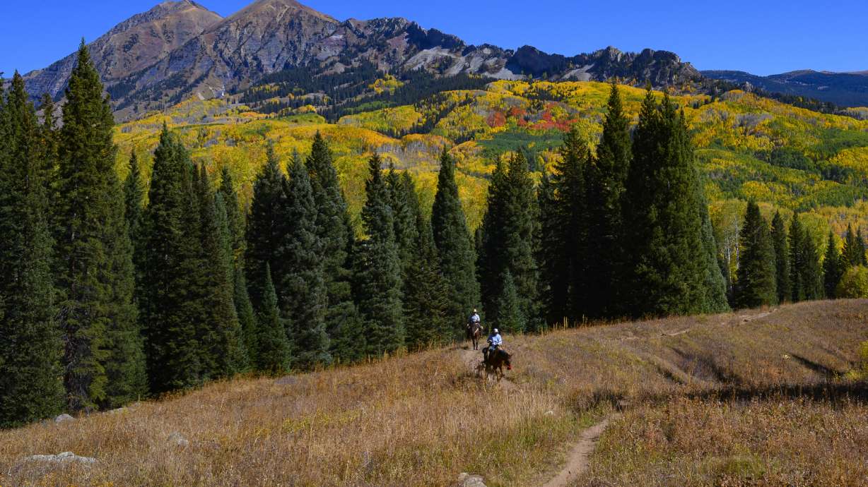 AP Exclusive: Texas AG helped donor fight virus lockout