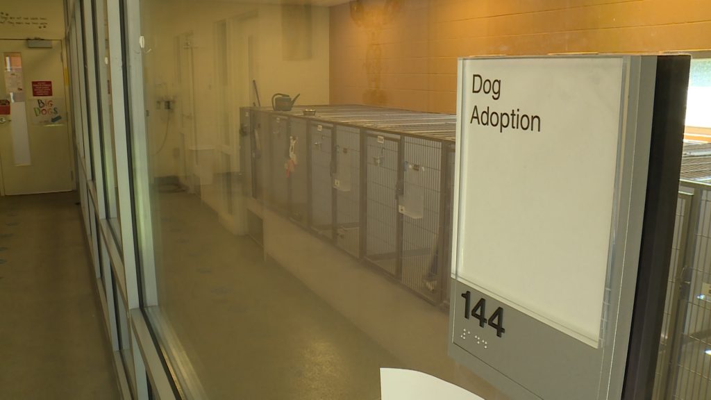 The West Valley Animal Shelter is open by appointment only Thursday, April 30, 2020. (Photo: KSL TV)