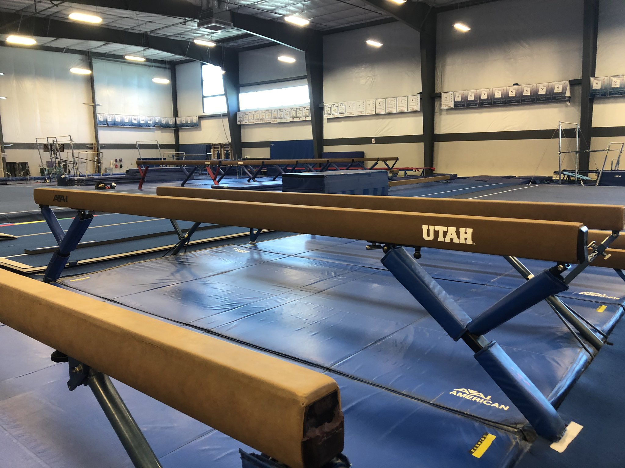 Gymnastics gym owners given green light to open