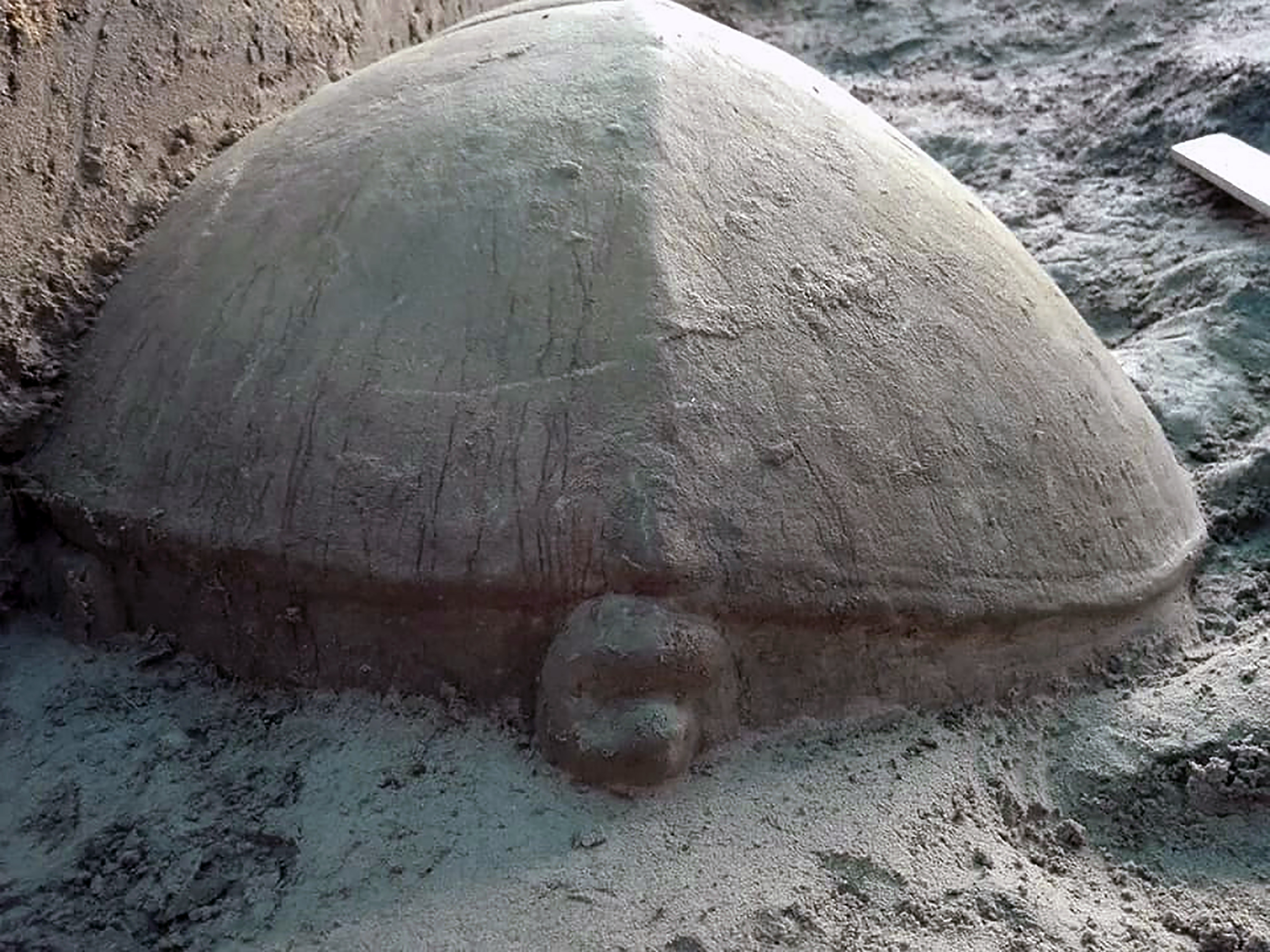 Carved stone turtle unearthed from Angkor reservoir site 