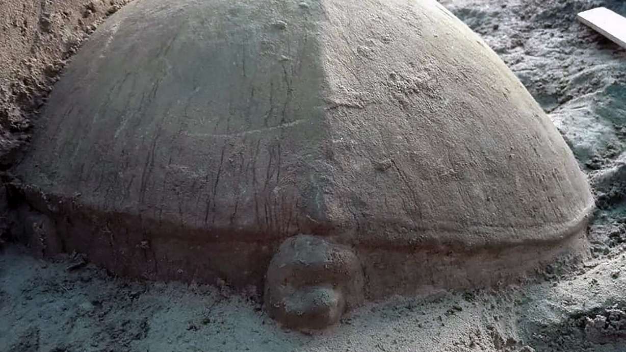Carved stone turtle unearthed from Angkor reservoir site