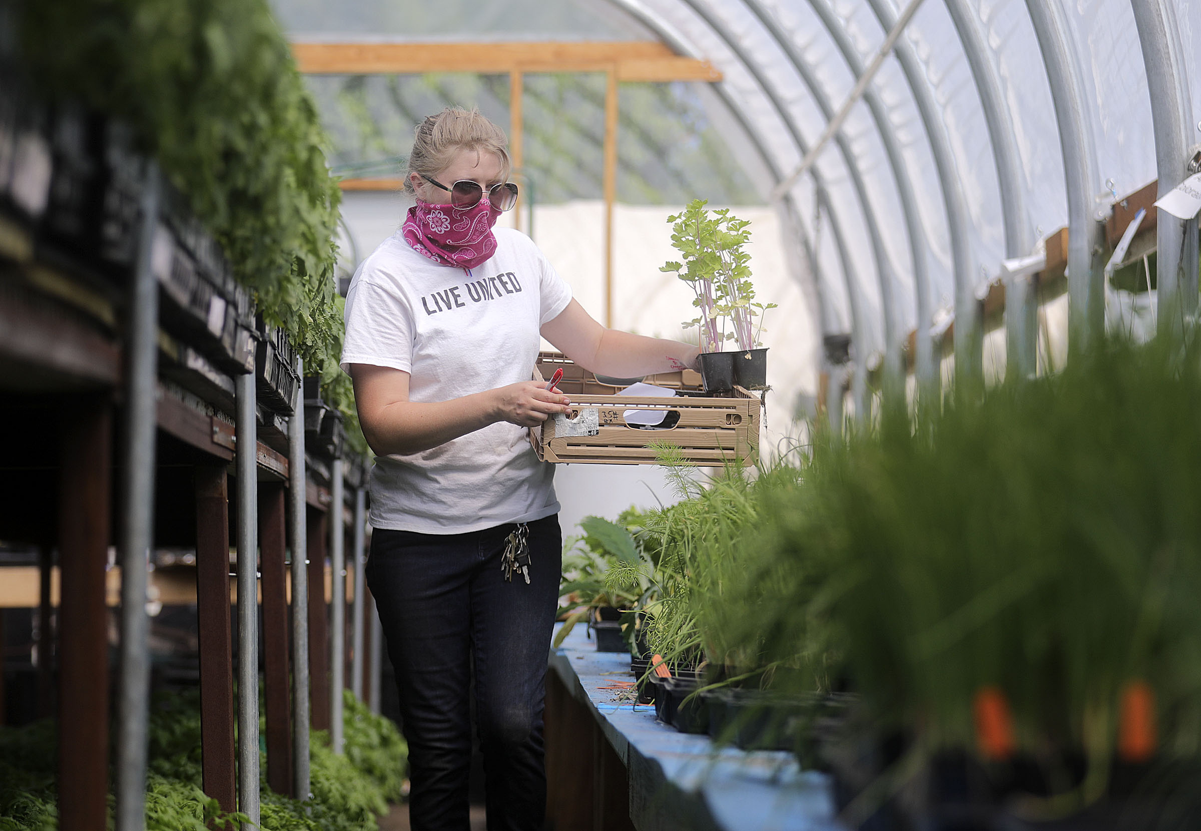 Nurseries see influx as more Utahns turn to gardening during quarantine