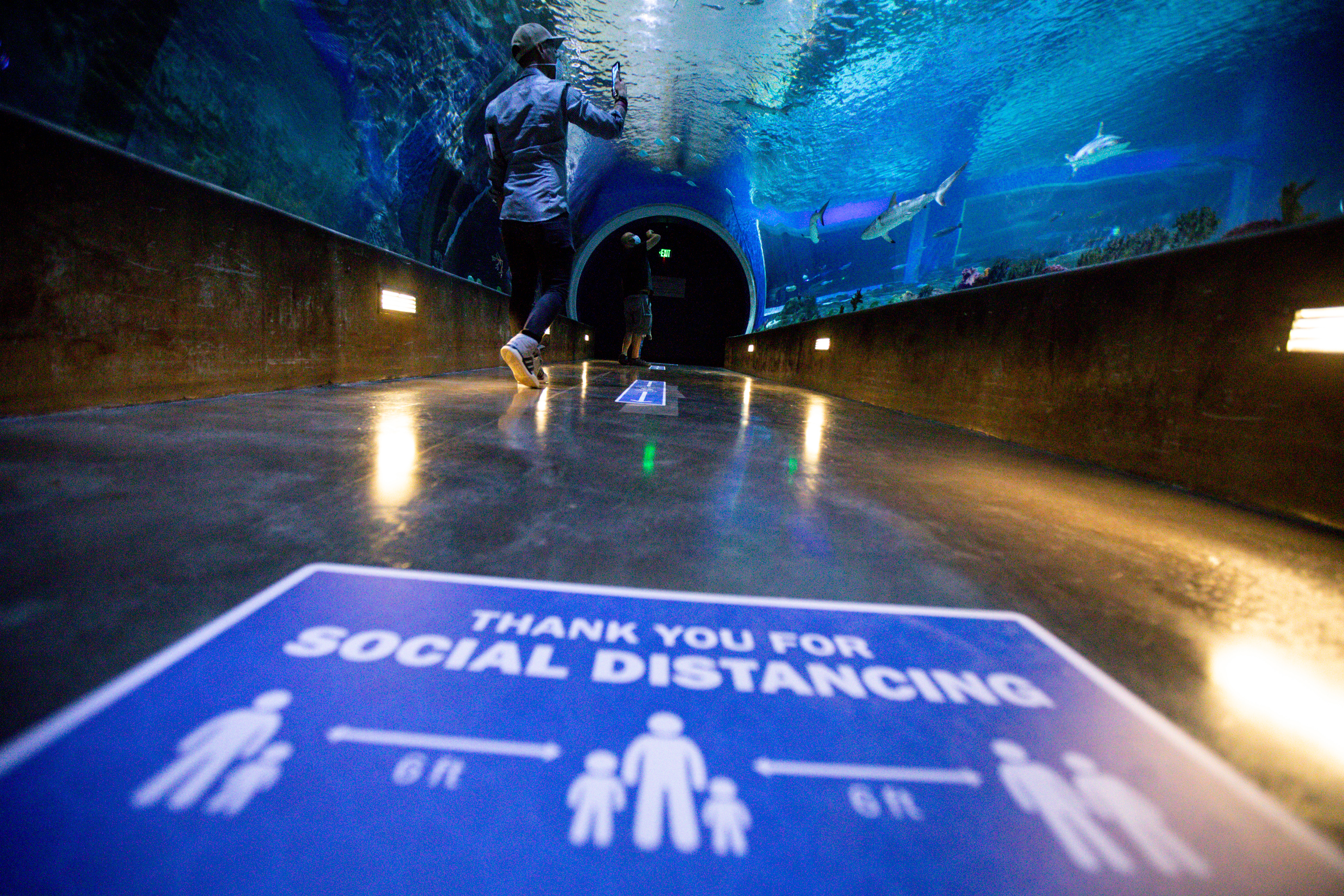 Saturday brings 203 new COVID-19 cases and 4 deaths, health department says