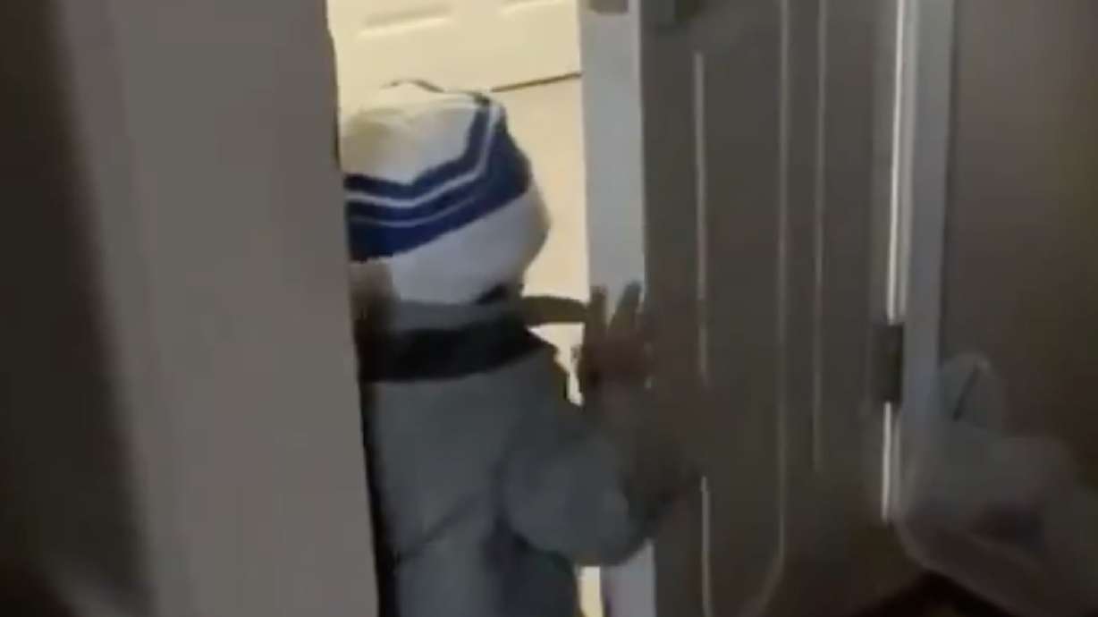 Have You Seen This? Toddler is all of us after 2 months indoors