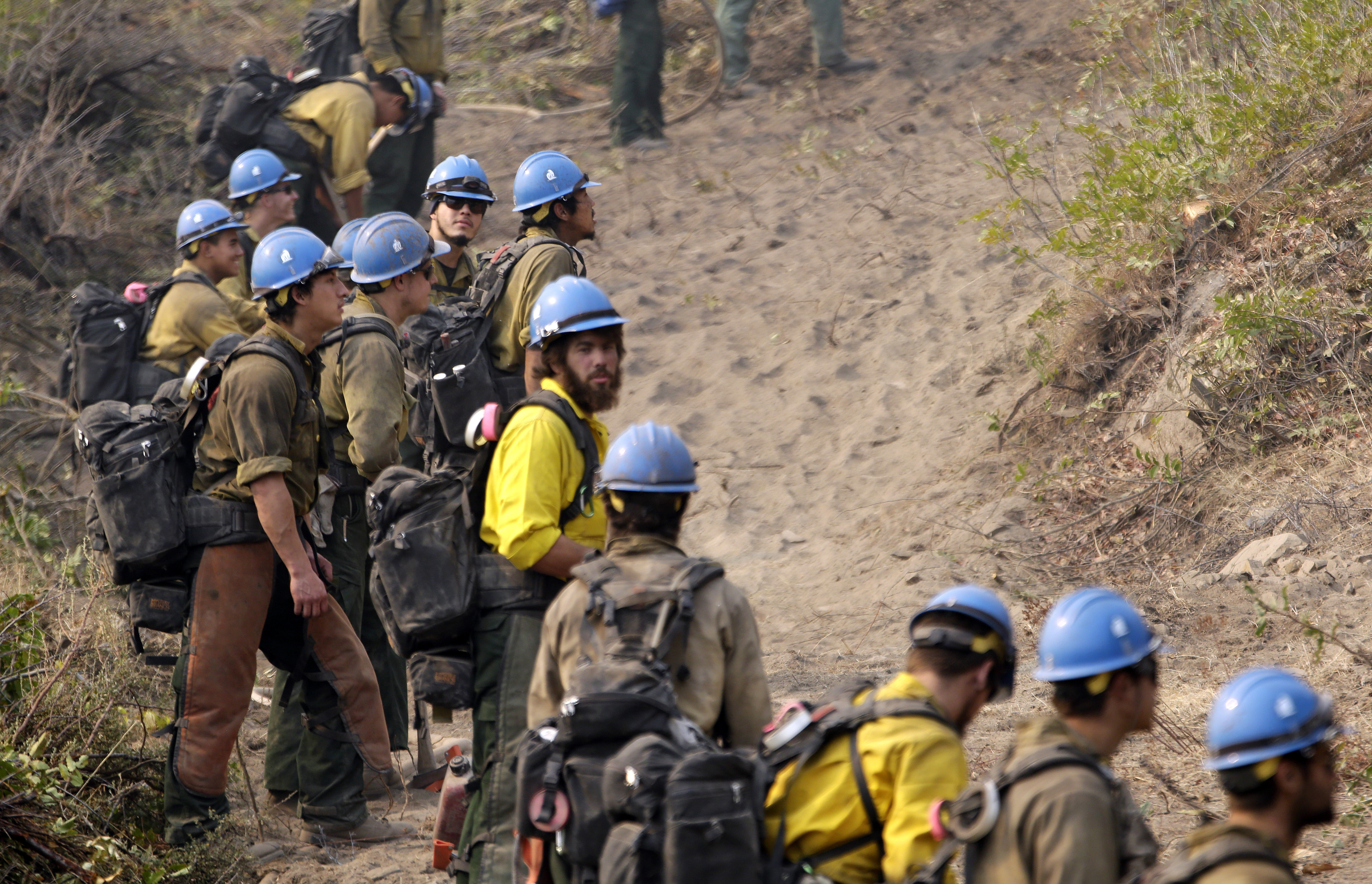 US plans reimagine fighting wildfires amid crews' virus risk