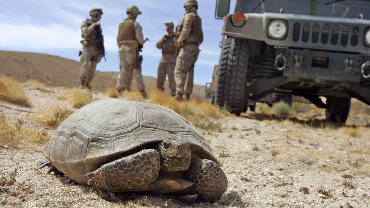 Biggest US solar project approved in Nevada despite critics