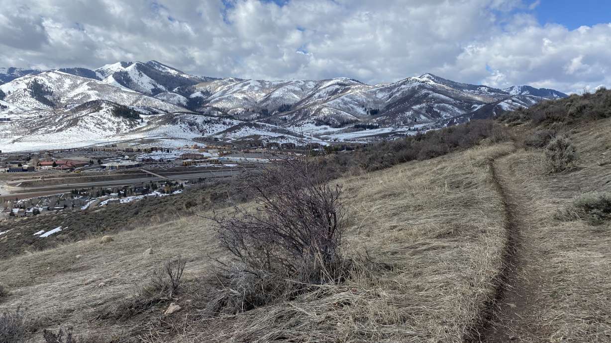 Need a new spring hike? Try Stealth Trail to Glenwild Loop