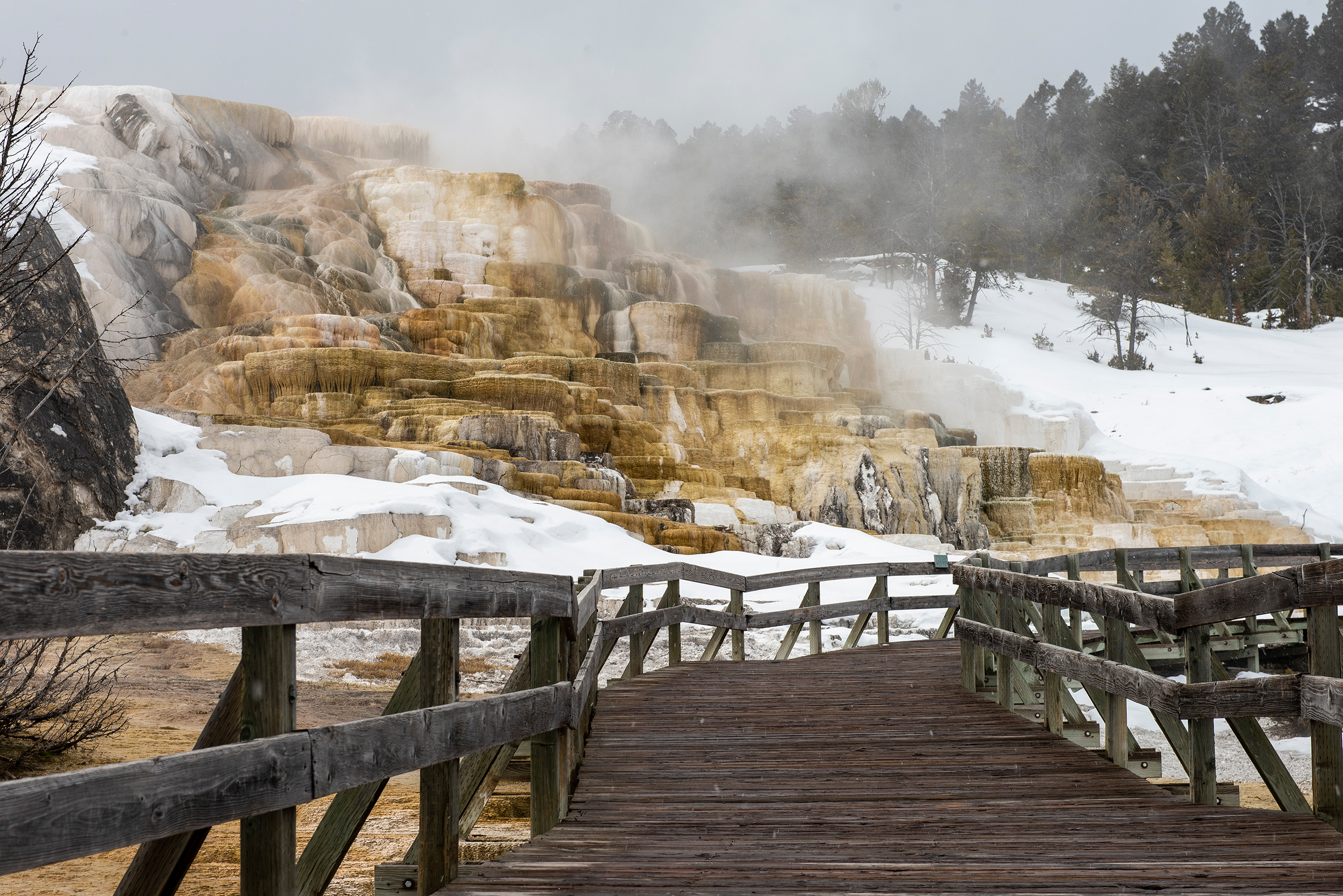 Woman suffers burns after illegally entering Yellowstone National Park, park officials say