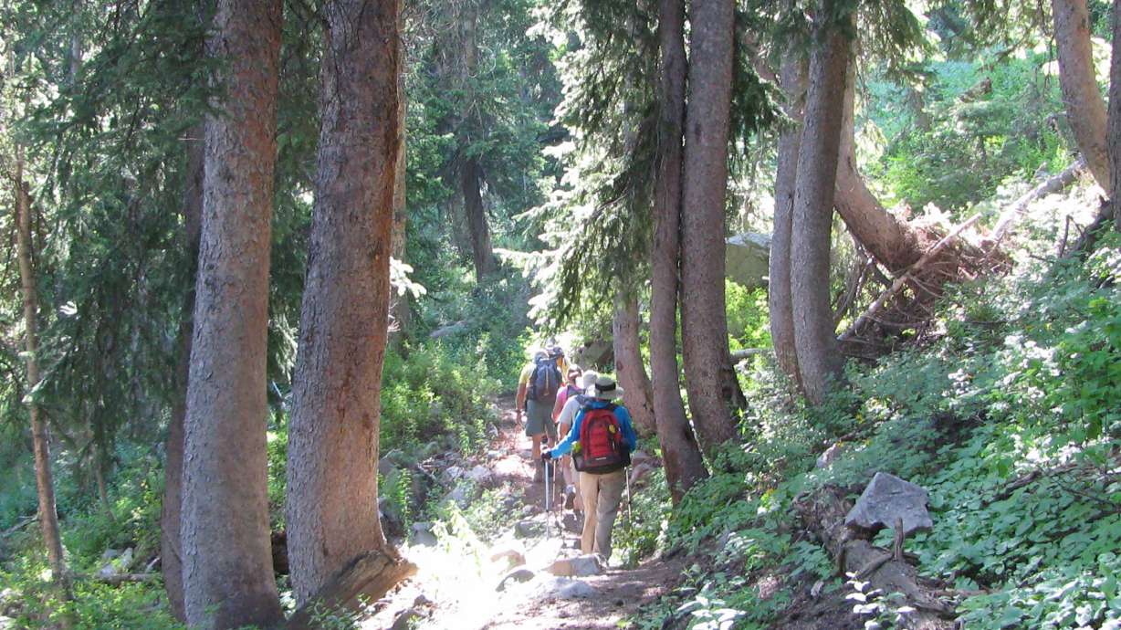 Central Wasatch Commission approves funding for 6 projects in Cottonwood canyons