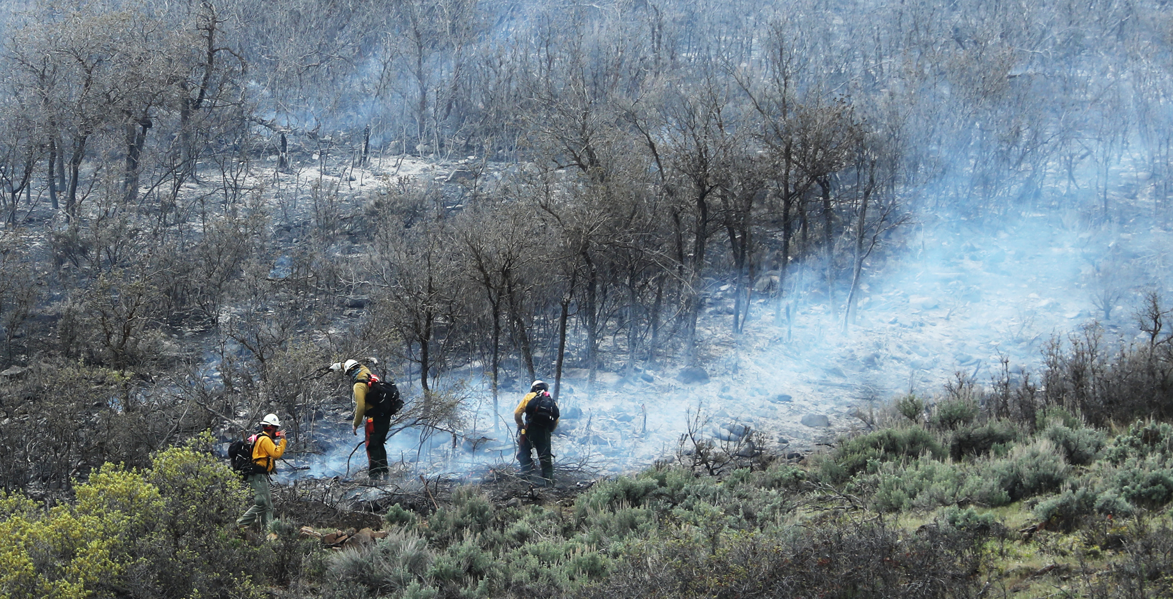 Most of Utah projected to have above-normal fire conditions with hotter, drier summer forecasted