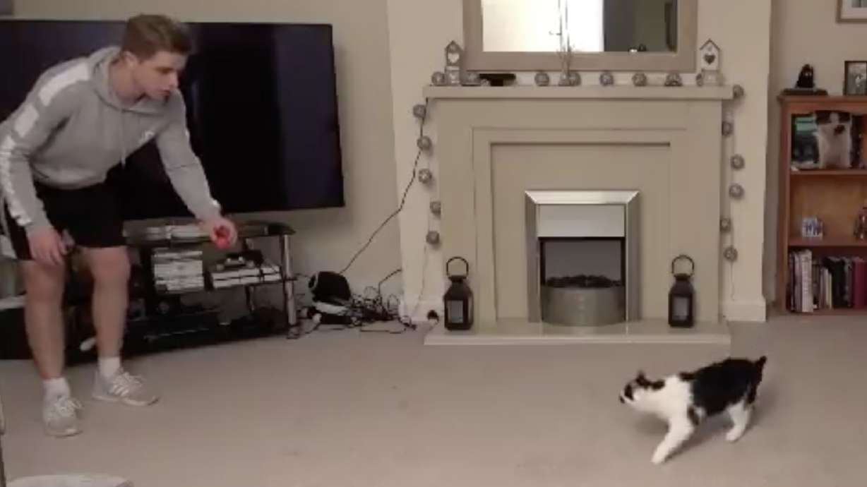 Have You Seen This? Cat is the world's greatest goalie — or maybe we should press the paws button