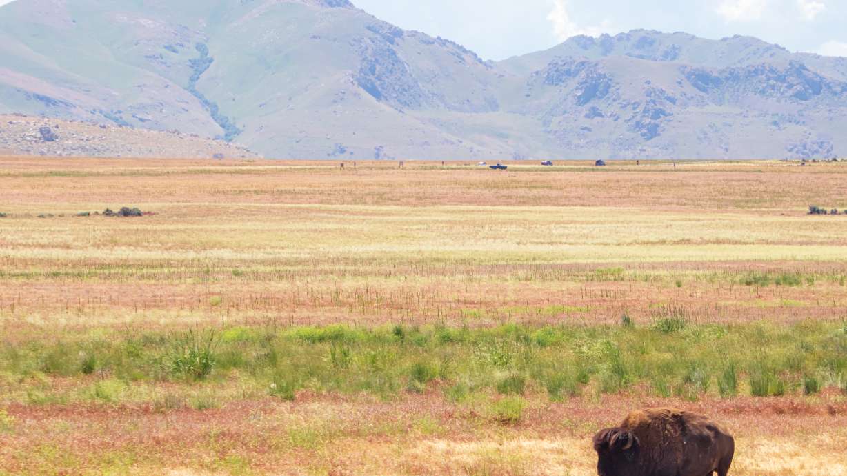 Antelope Island State Park hikes entrance fee, preps for park improvements