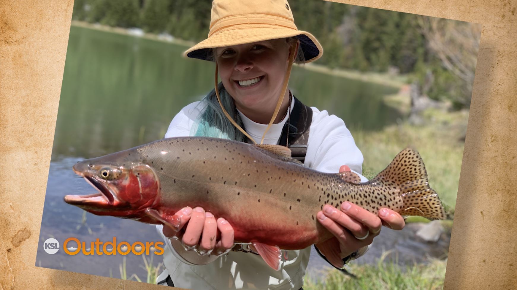 Snapshot of the Week: June 13, 2020