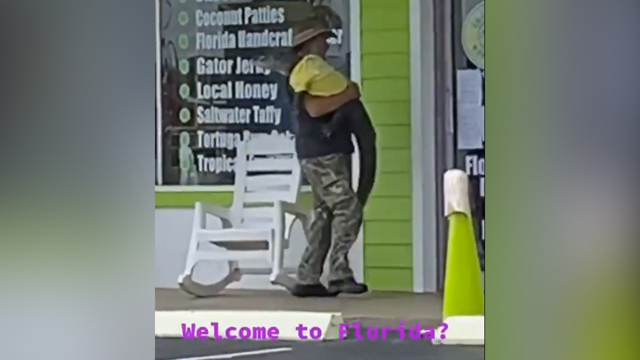 Have You Seen This? Gator on the loose is no big deal