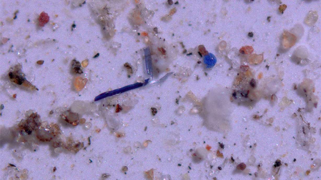It’s raining plastic: USU researchers find alarming amount of microplastic on protected lands