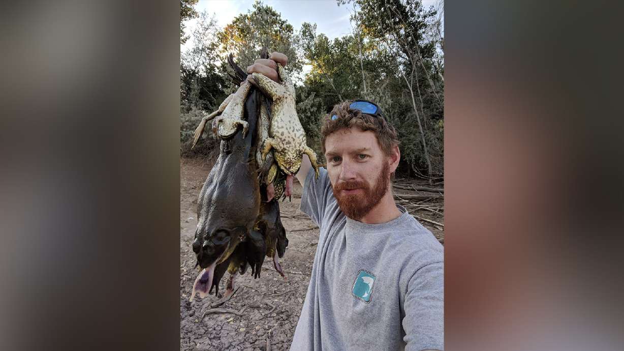 Utah has an invasive bullfrog problem, so the DWR wants you to eat them