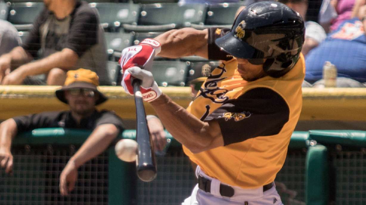 Bees, Raptors, Owlz 2020 games canceled as MiLB packs up for the season