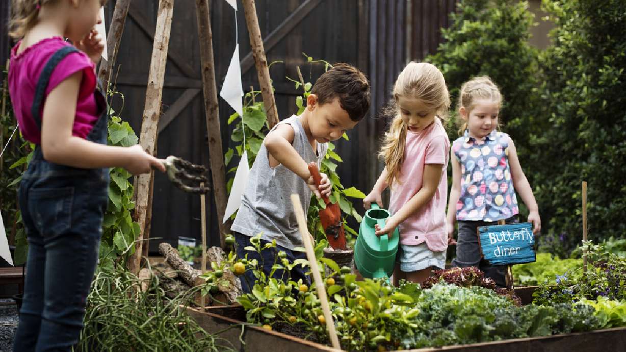 Get your family a private school-like education for free