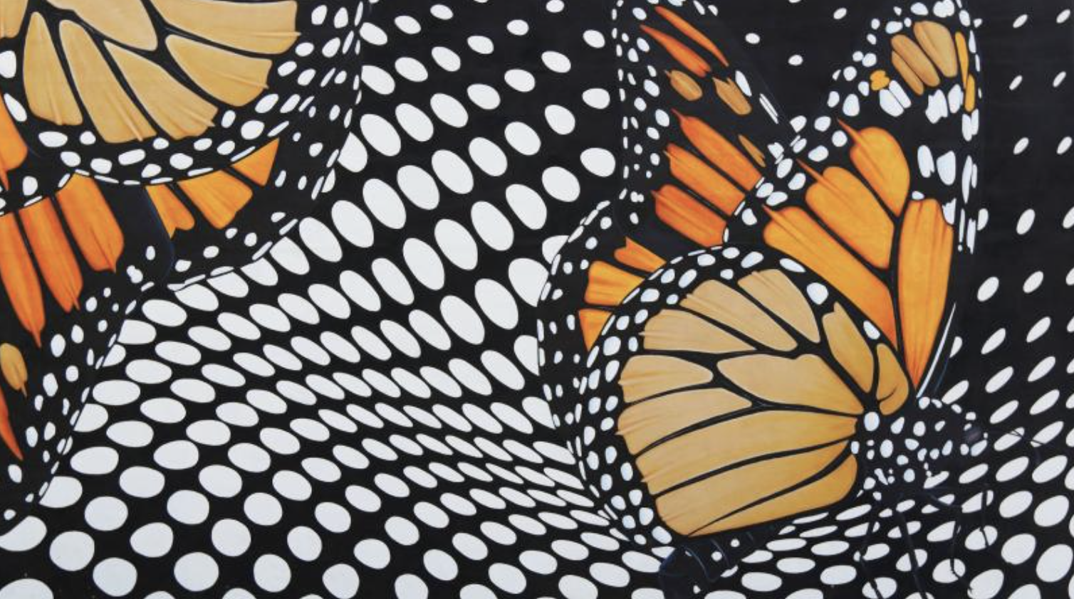 Photo courtesy of Visit Ogden