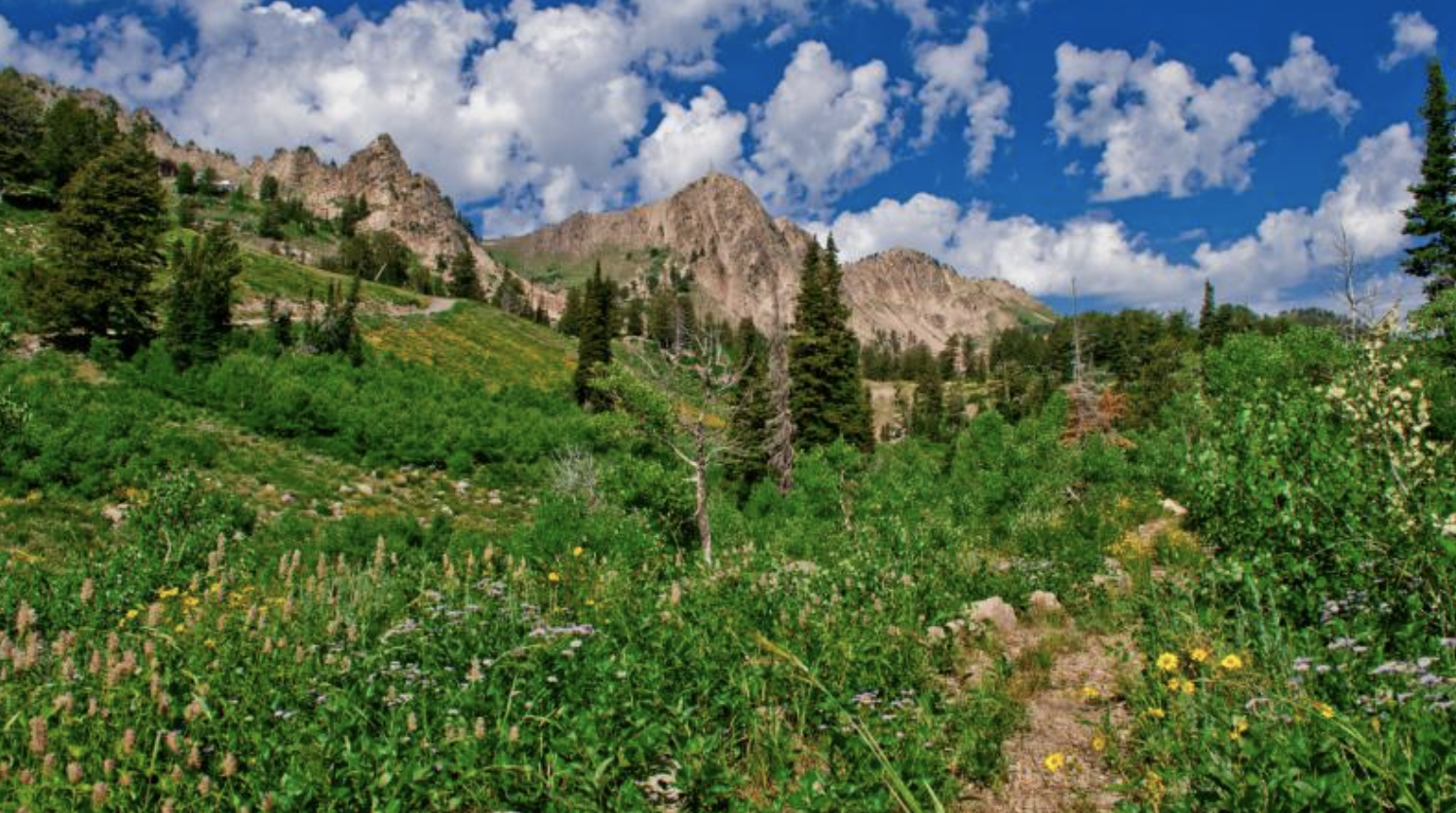 Photo courtesy of Visit Ogden